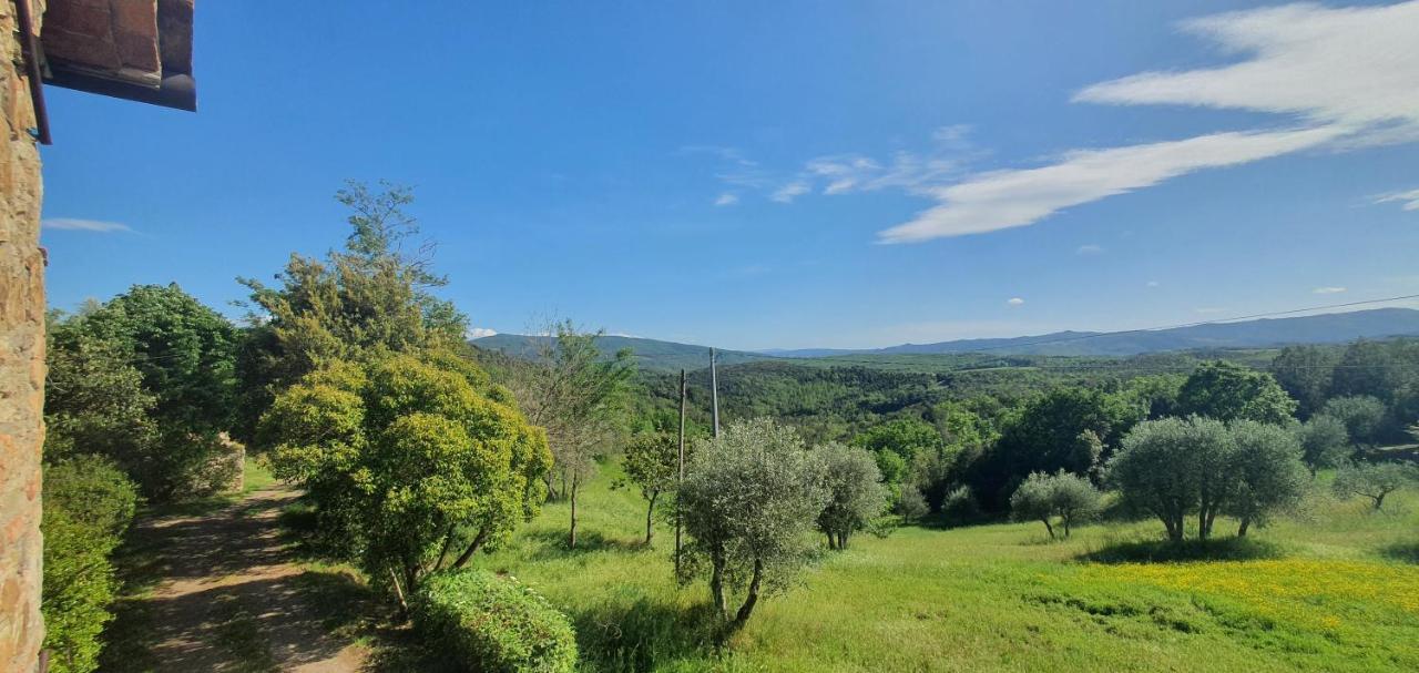 Villa Resi Bed & Nature Мурло Экстерьер фото